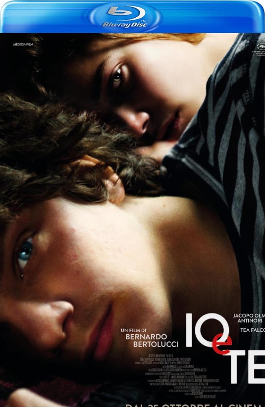 我和你[2012][英版原盘][意大利语][中文字幕][39.15GB]