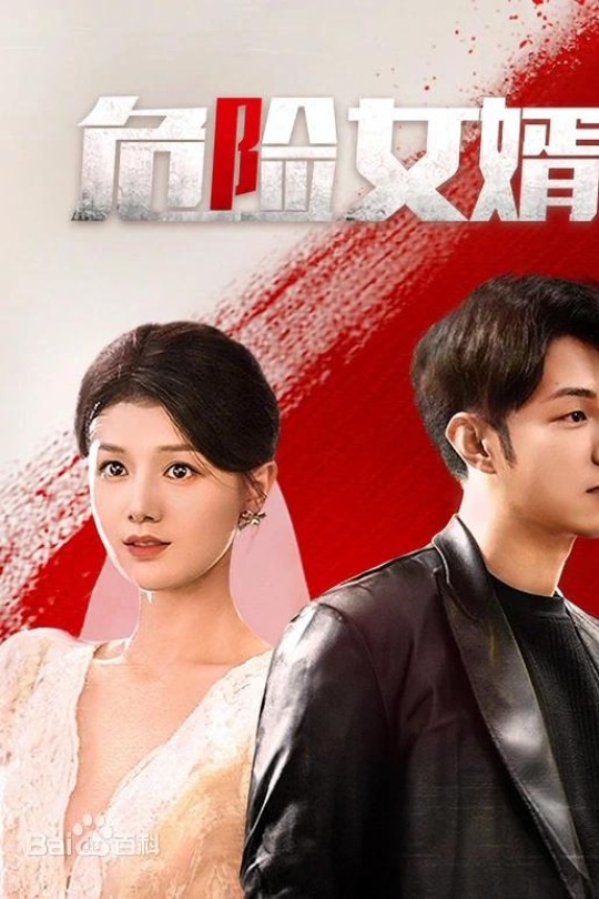[115云盘]危险女婿[2025][完结剧集][4K][国语][中文字幕][5.45GB]