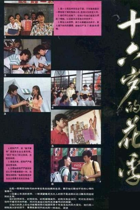 [115云盘]十六岁的花季[1990][完结剧集][1080P][国语][中文字幕][49.33GB]