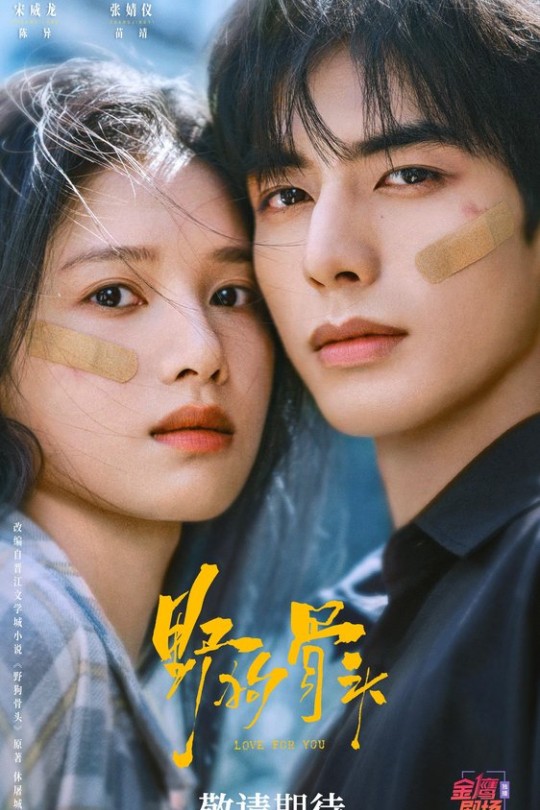 [115云盘]野狗骨头[2026][完结剧集][4K HDR][国语][中文字幕][81.68GB]
