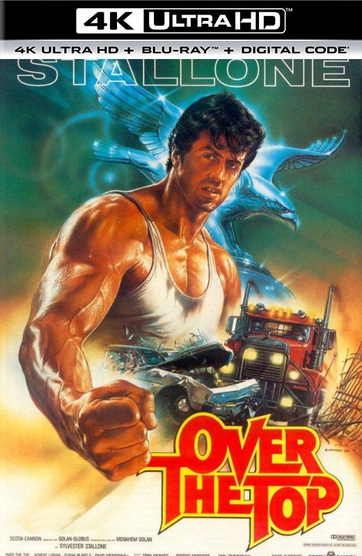 飞越巅峰[1987][德版原盘][杜比视界][英语][中文字幕][62.23GB]