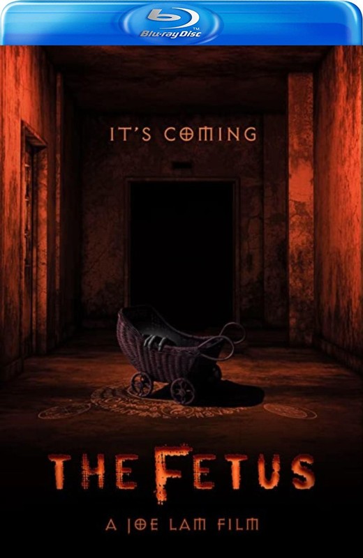 胎儿[2025][德版原盘][英语][中文字幕][20.25GB]