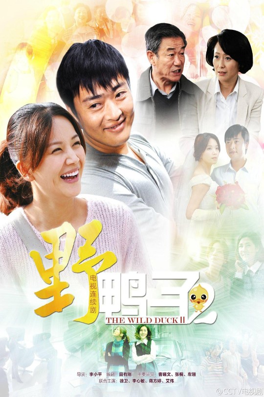 [115云盘]野鸭子2[2013][完结剧集][1080P][国语][中文字幕][深圳都市][86.03GB]