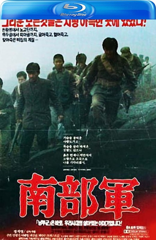 南部军[1990][韩版原盘][韩语][中文字幕][43.27GB]