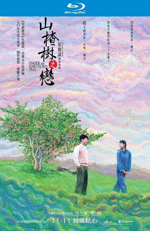 山楂树之恋[2010][日版原盘][国语][中文字幕][22.8GB]
