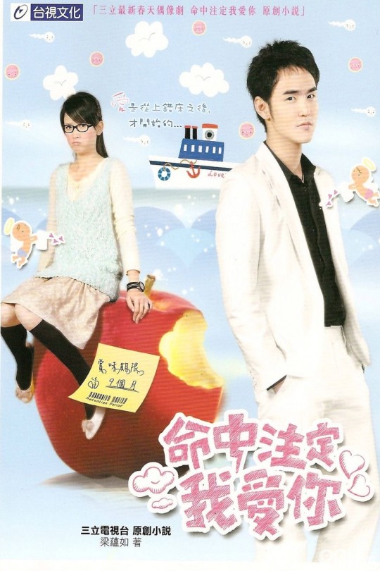 [115云盘]命中注定我爱你[2008][完结剧集][1080P][国语][中文字幕][台视综合HD][46.71GB]