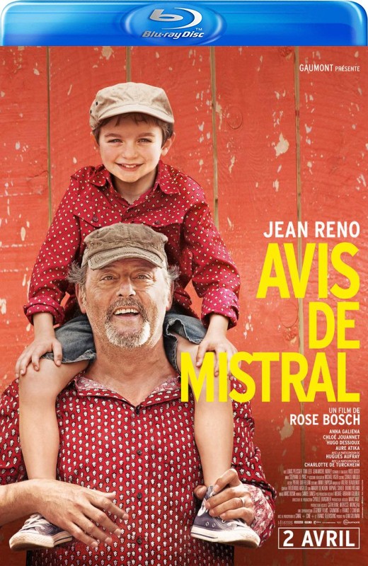 普罗旺斯的夏天[2014][德版原盘][法语][中文字幕][21.41GB]