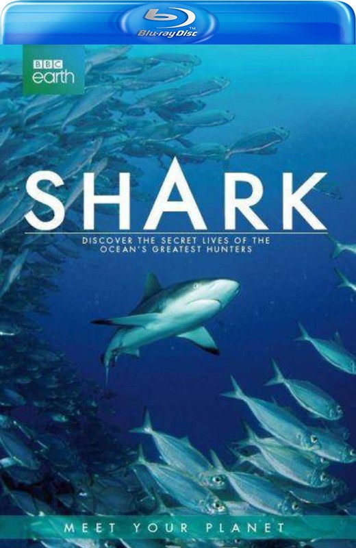 鲨鱼[2015][英版原盘][英语][中文字幕][42.76GB]