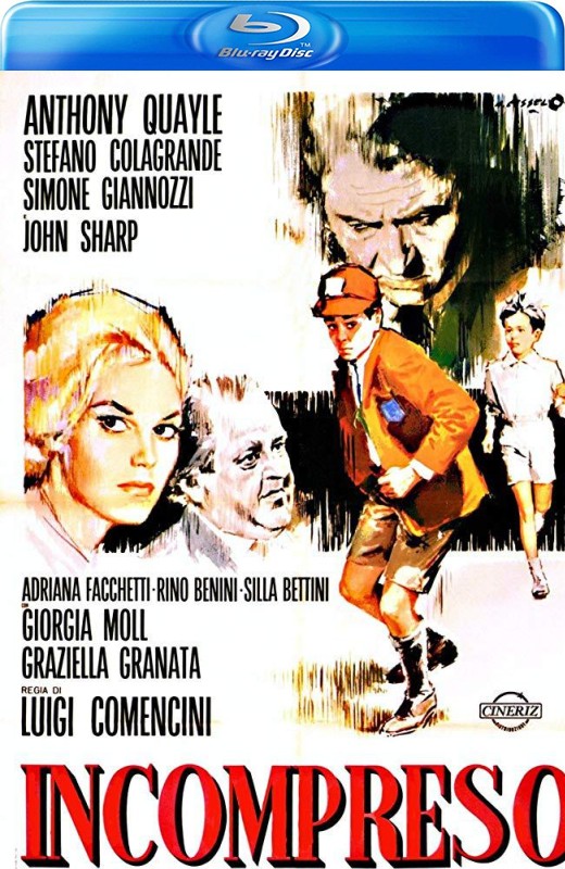 爱的世界[1967][英版原盘][意大利语][中文字幕][40.93GB]