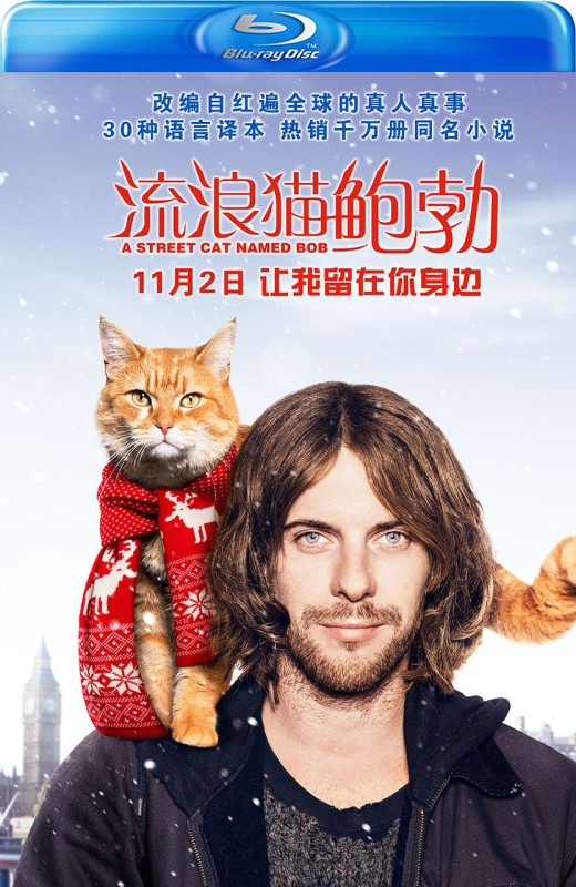 流浪猫鲍勃[2016][欧版原盘][英语][中文字幕][30.81GB]