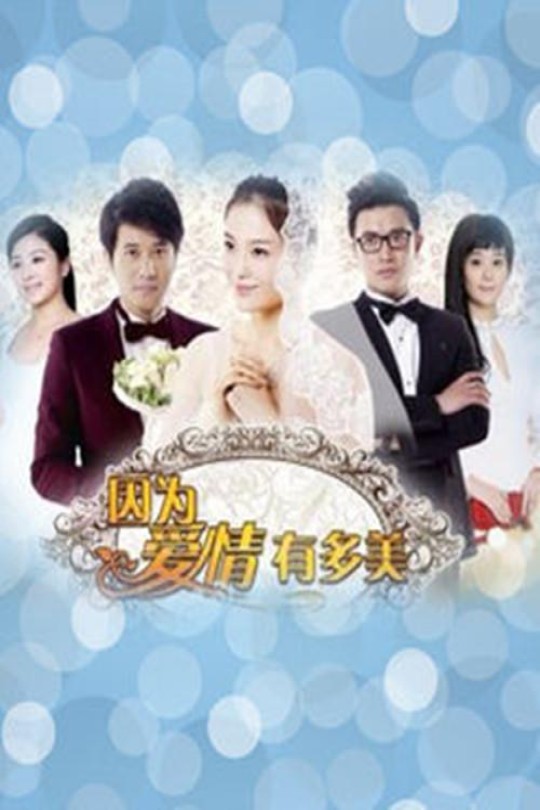 [115云盘]因为爱情有多美[2013][完结剧集][1080P][国语][中文字幕][深圳卫视][126.21GB]