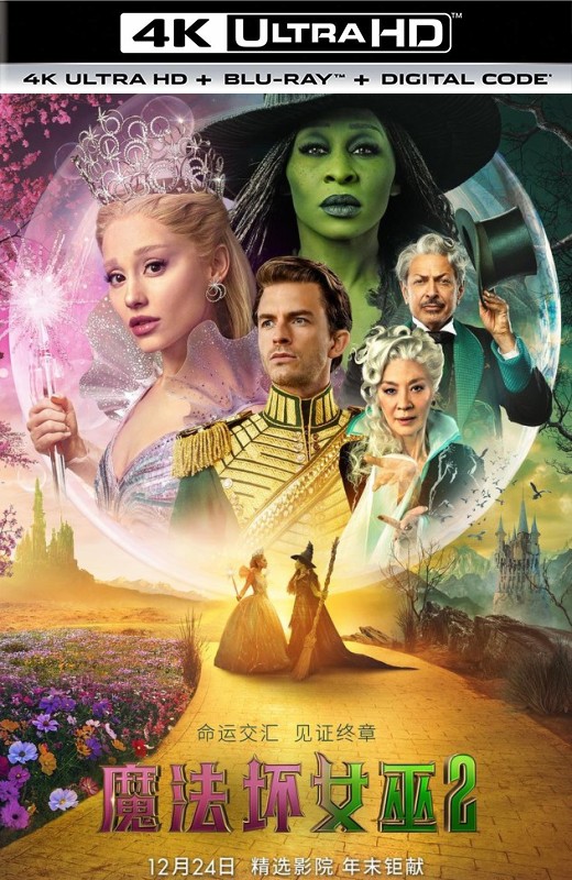 魔法坏女巫2[2025][美版原盘][英语][中文字幕][88.25GB]