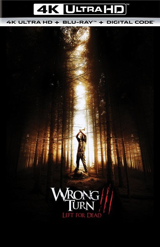 致命弯道3[2009][德版原盘][英语][中文字幕][54.04GB]