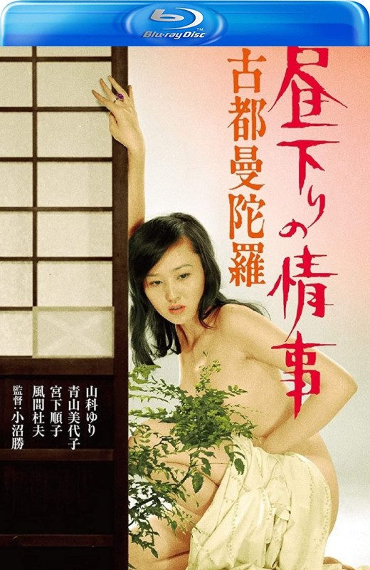 白昼下的情事之古都曼陀罗[1973][日版原盘][日语][中文字幕][17.84GB]