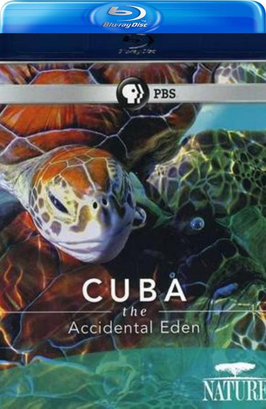 古巴：意外的伊甸园[2010][美版原盘][英语][中文字幕][13.58GB]