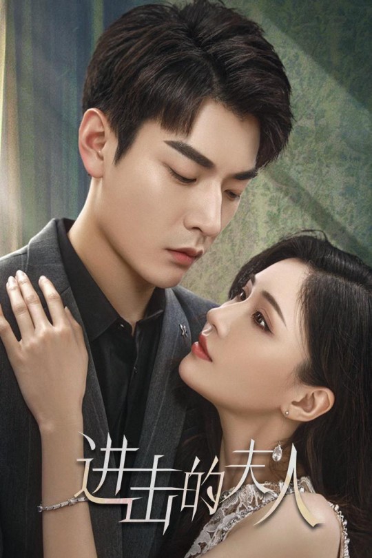 [115云盘]进击的夫人[2024][完结剧集][4K][国语][中文字幕][4.50GB]