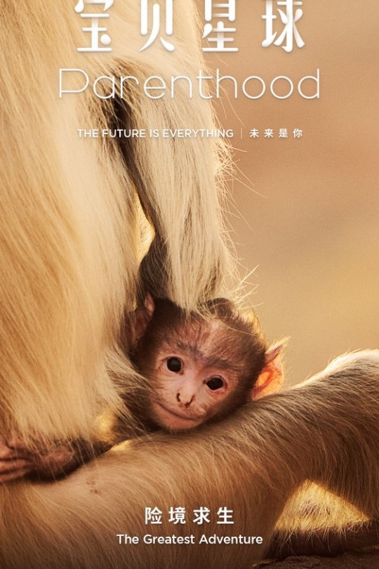 宝贝星球[2025][美版原盘][英语][中文字幕][142.70GB]