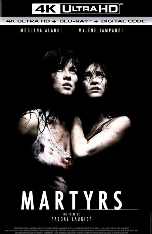 殉难者[2008][美版原盘][杜比视界][法语][中文字幕][85.38GB]