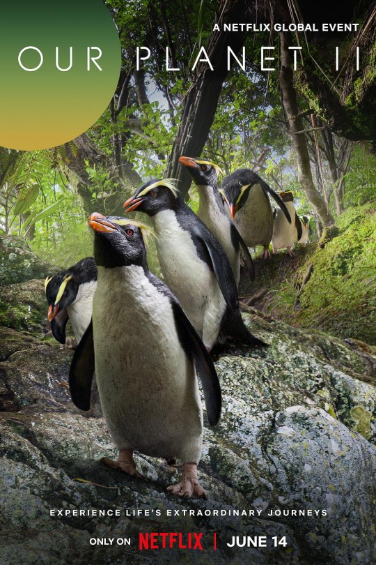 [115云盘]我们的星球 第二季[2023][完结剧集][4KHDR+DV][英语][简繁英软字幕][52.02GB]