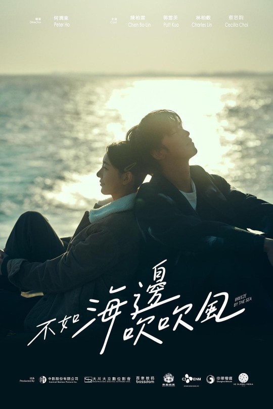[115云盘]不如海边吹吹风[2024][完结剧集][1080P][国语][中文字幕][12.22GB]