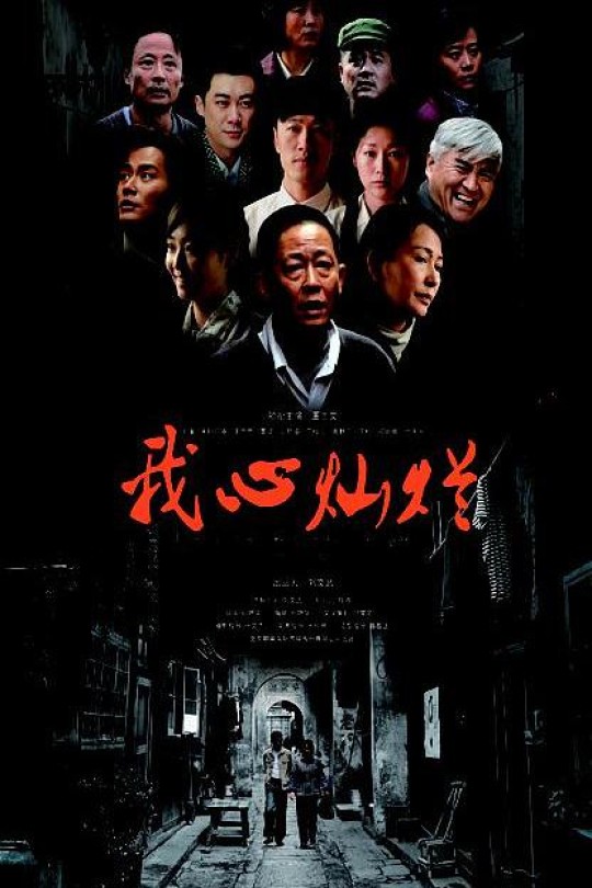 [115云盘]我心灿烂[2014][完结剧集][1080P][国语][中文字幕][CCTV4][121.44GB]