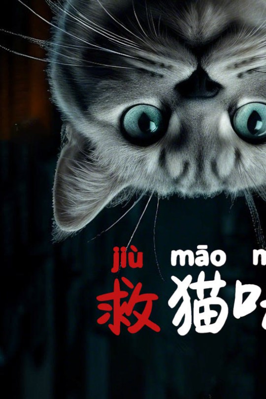 救猫咪[2025]王文杰[4K EDR高码][英语][中文字幕][8.17GB]