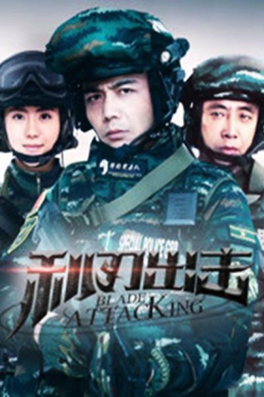 [115云盘]利刃出击[2018][完结剧集][4K][国语][中文字幕][96.03GB]