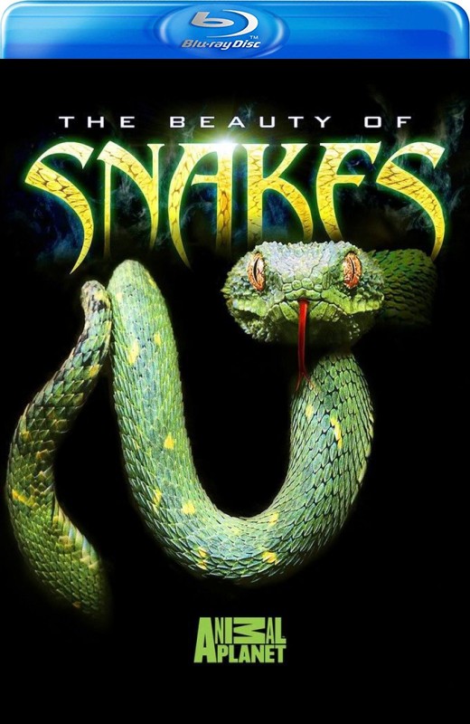 蛇之惊艳奇观[2003][美版原盘][英语][中文字幕][7.47GB]