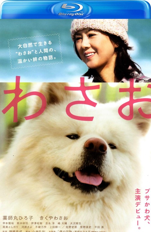 秋田犬蓬夫[2011][港版原盘][日/粤语][中文字幕][21.80GB]