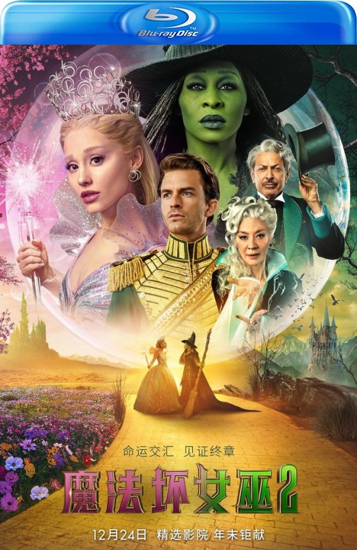 魔法坏女巫2[2025][美版原盘][英语][中文字幕][41.42GB]