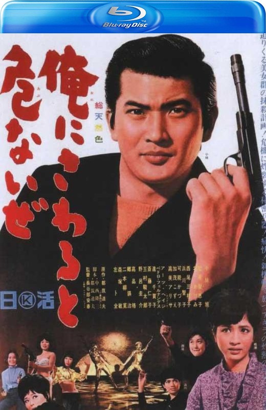 黑衣杀手[1966][美版原盘][日语][中文字幕][22.53GB]