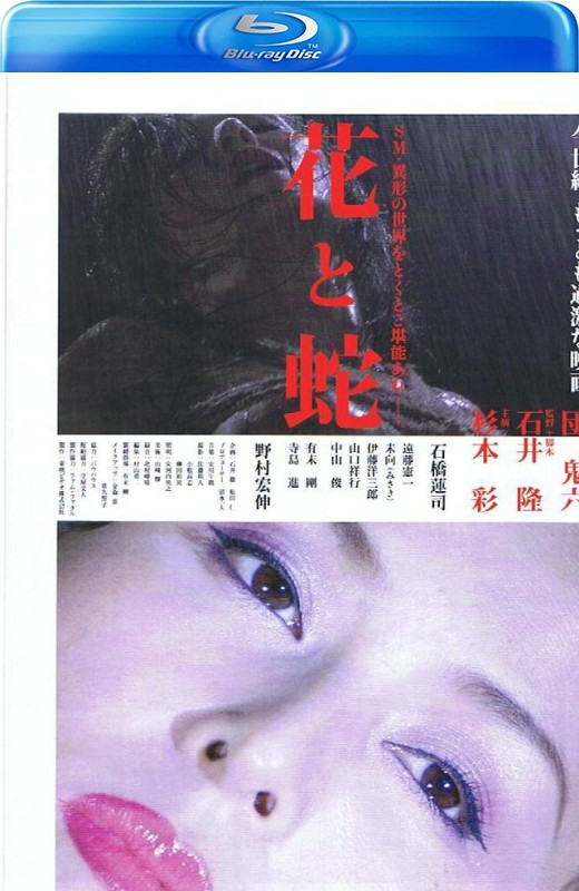 花与蛇[2004][日版原盘][日语][中文字幕][21.65GB]