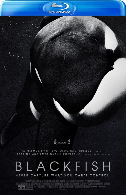 黑鲸[2013][欧版原盘][英语][中文字幕][19.17GB]