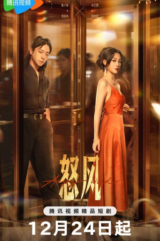 [115云盘]怒风[2025][完结剧集][4K 60帧][国语][中文字幕][9.09GB]