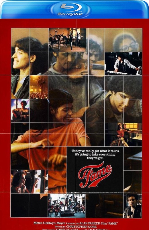 名扬四海[1980][台版原盘][英语][中文字幕][29.19GB]
