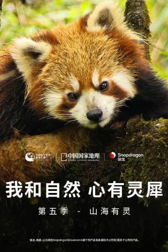 [115云盘]《我和自然 心有灵犀》第五季 - 山海有灵[2024][完结剧集][4K高码][国语][简英双语硬字幕][2.92GB]