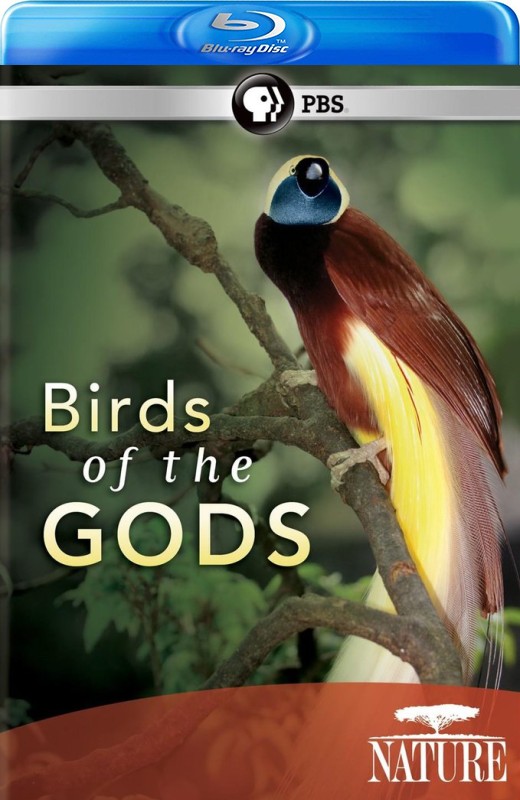 天堂鸟[2011][美版原盘][英语][中文字幕][13.46GB]