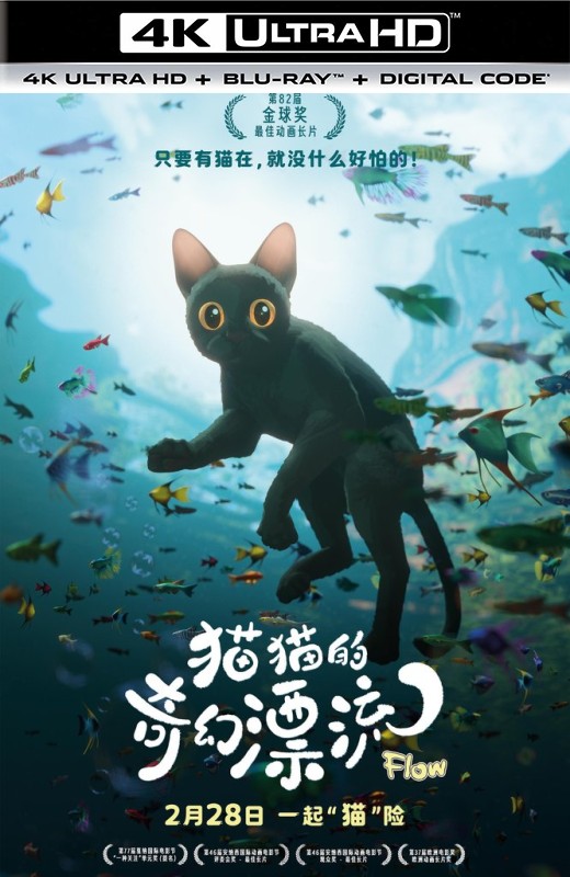 猫猫的奇幻漂流[2024][美版原盘][无对白][中文字幕][39.13GB]