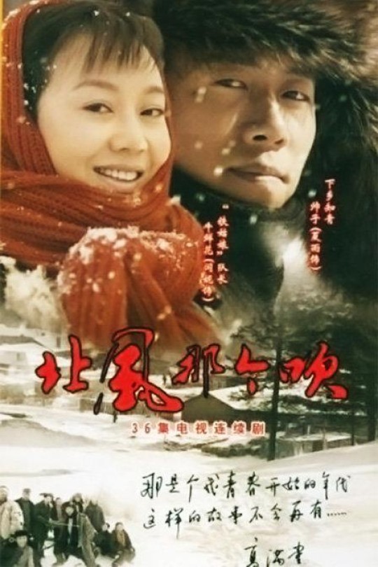 [115云盘]北风那个吹[2009][完结剧集][1080P][国语][中文字幕][北京卫视][157.58GB]