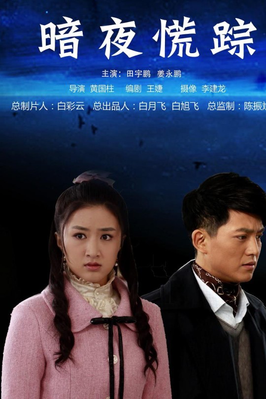 暗夜慌踪[2013] 田峻丞 姜永鹏[4K][国语][中文字幕][3.86GB]
