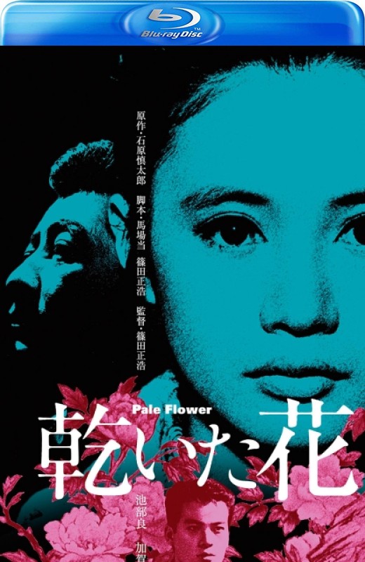 干花[1964][日版原盘][日语][中文字幕][41.71GB]