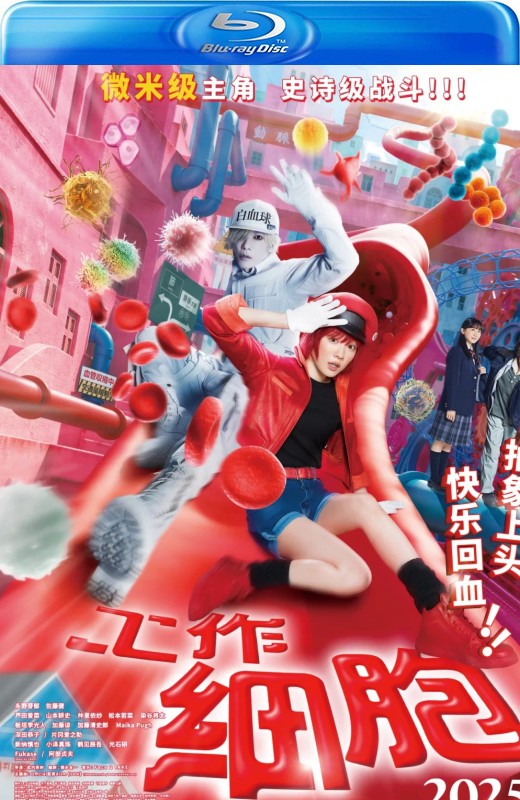 工作细胞[2024][日版原盘][国/日语][中文字幕][37.46GB]