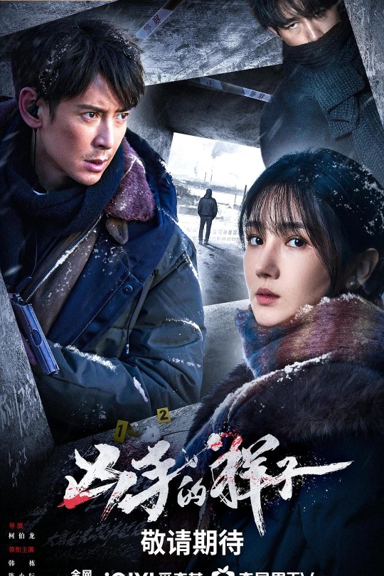 [115云盘]凶手的样子[2024][完结剧集][4K 海外版][国语][中文字幕][18.35GB]