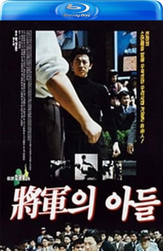 将军的儿子[1990][韩版原盘][日语][中文字幕][30.52GB]