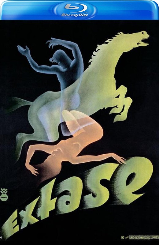 入谜[1933][德版原盘][德语][中文字幕][21.06GB]