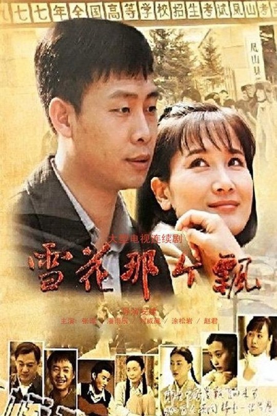 [115云盘]雪花那个飘[2011][完结剧集][1080P][国语][中文字幕][146.07GB]