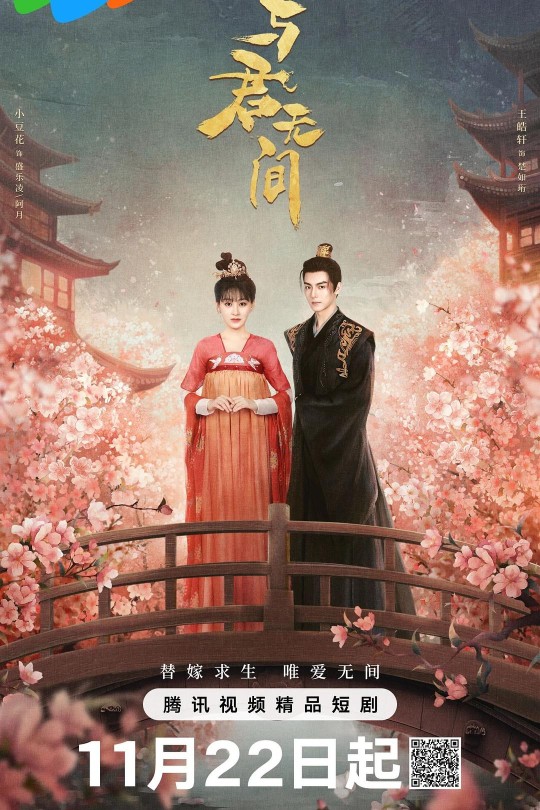 [115云盘]与君无间[2024][完结剧集][4K][国语][中文字幕][4.16GB]